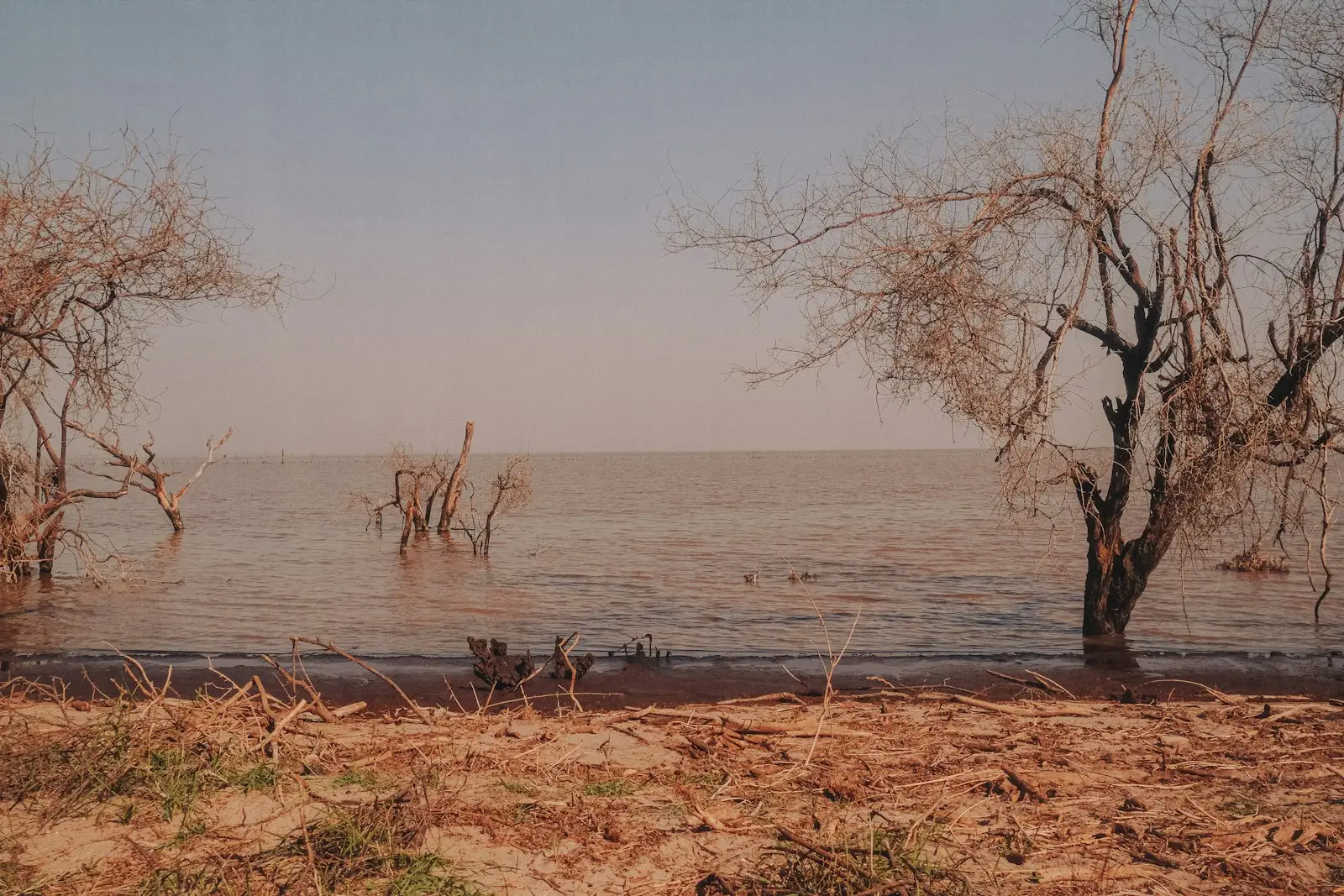 Lake Manyara National Park