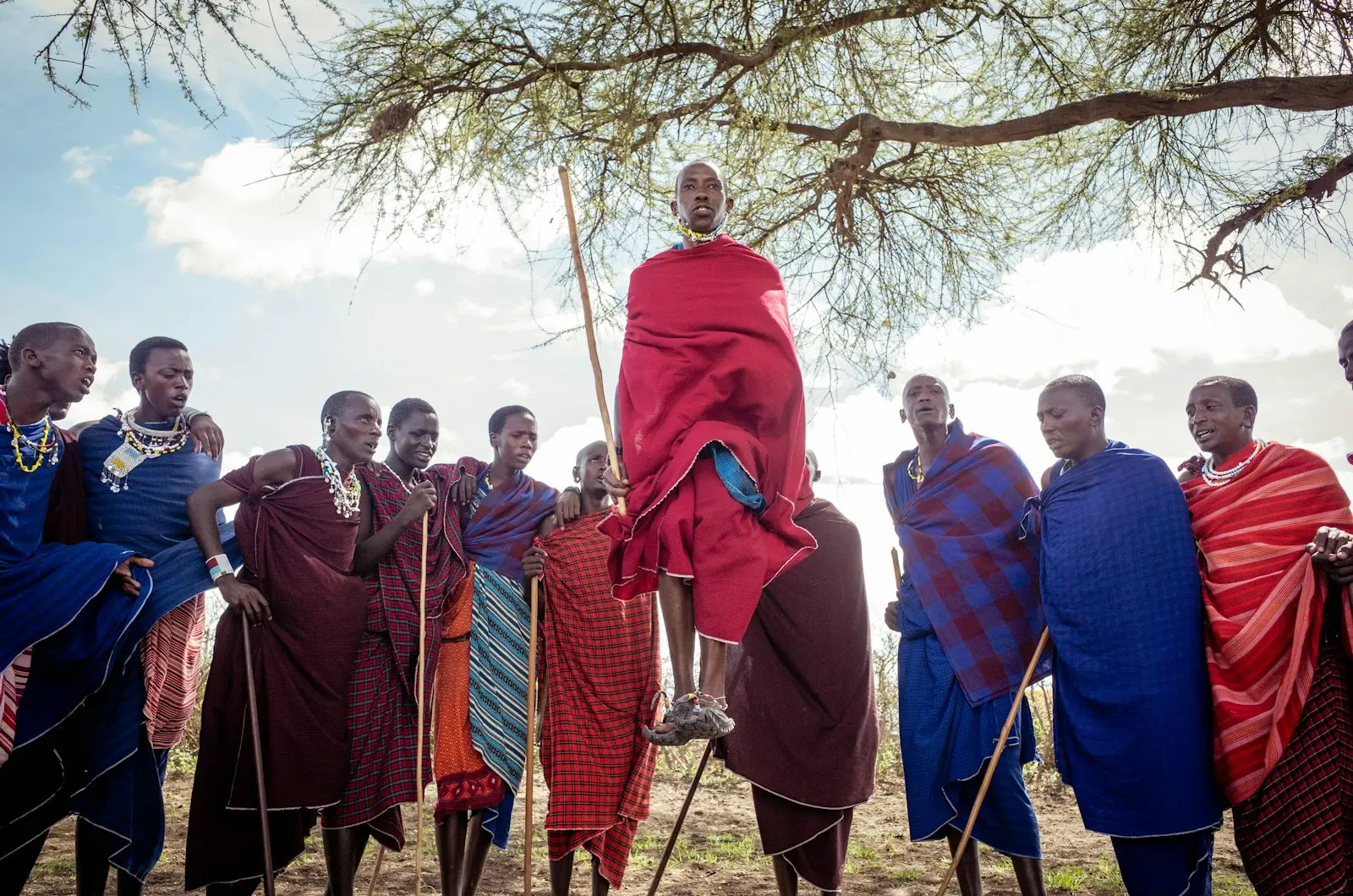 Tanzania Wildlife & Culture