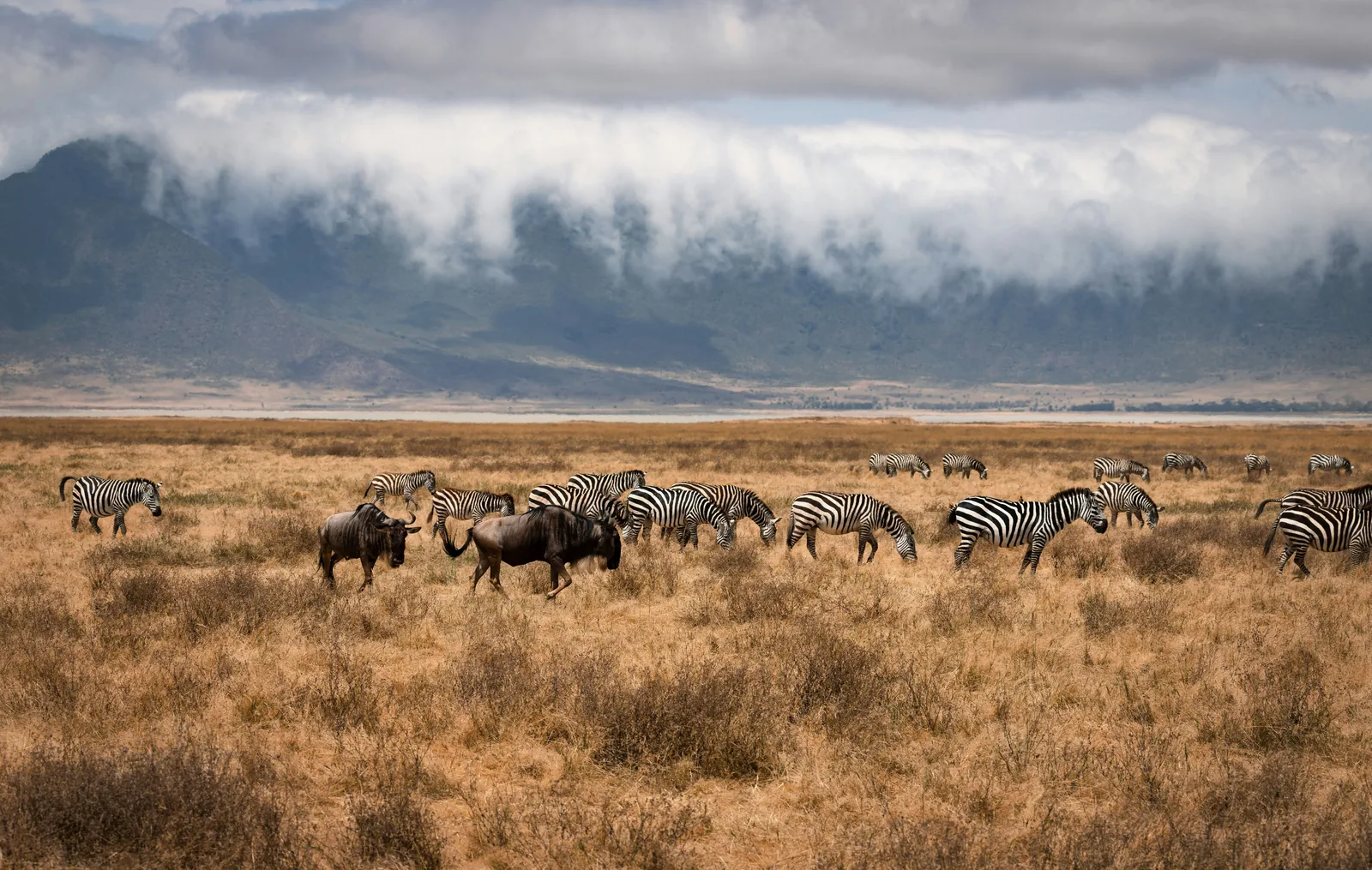 Ngorongoro Conservation Area