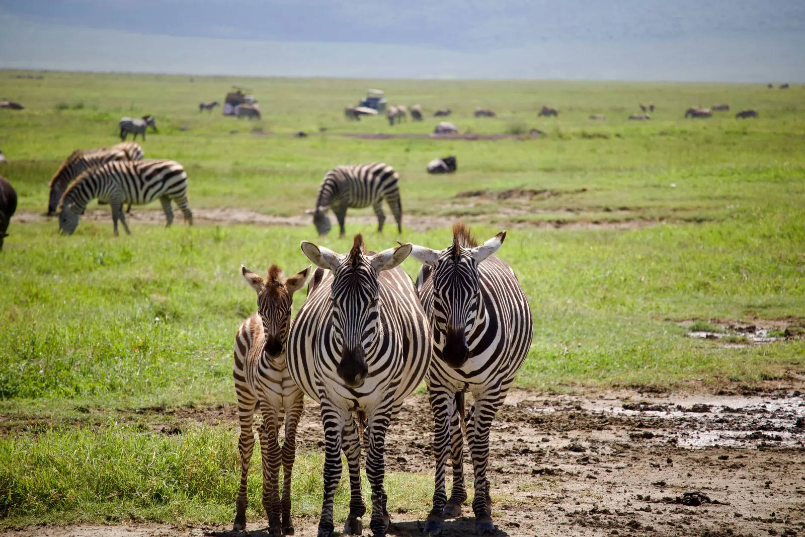 Your thoughtful safari packing list