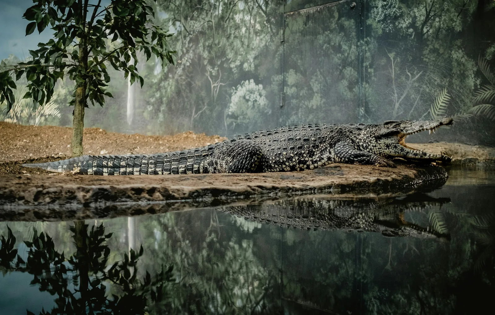 Nyerere National Park