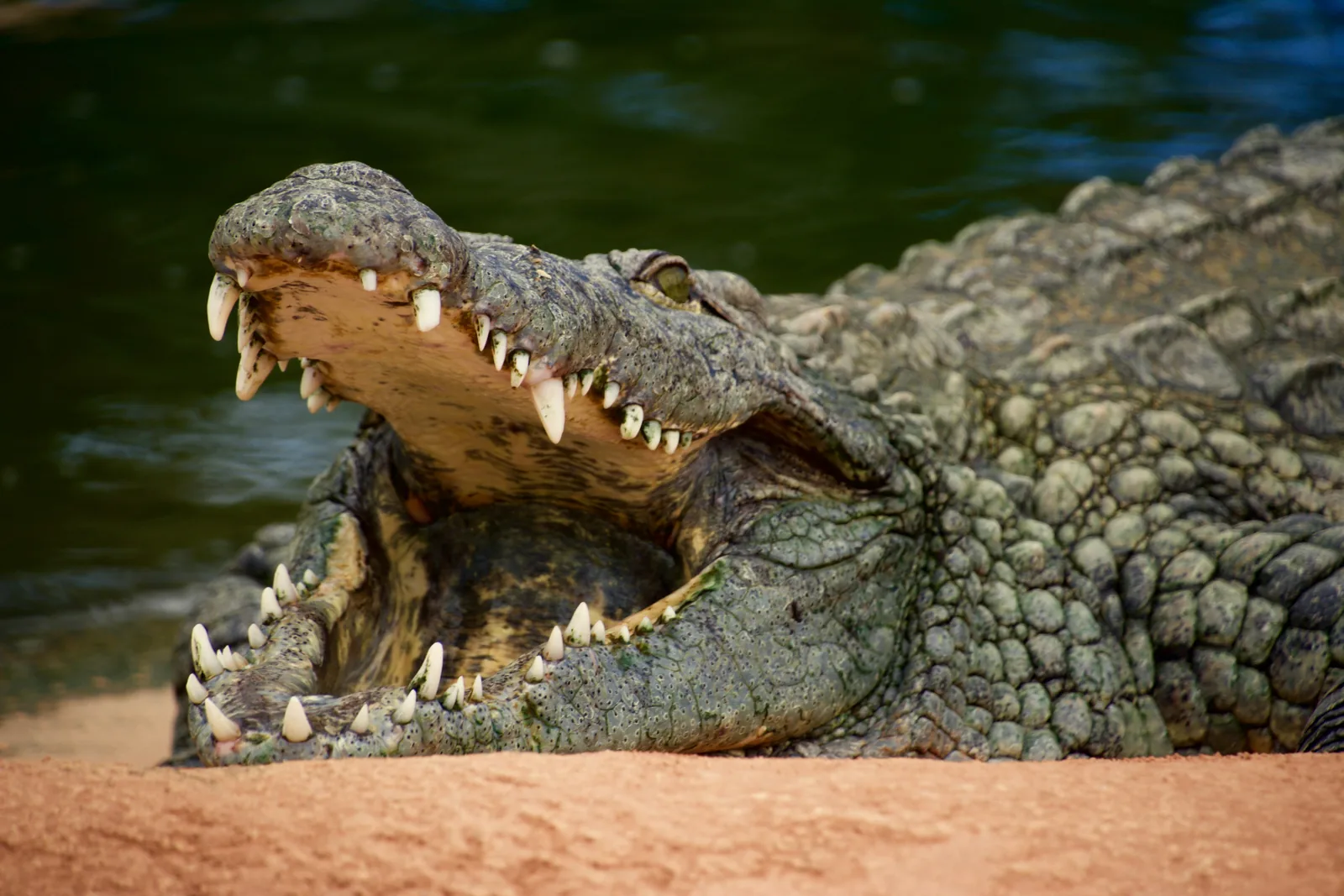 Ugalla River National Park